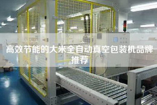 高效节能的大米全自动真空包装机品牌推荐