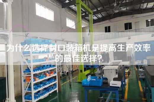 为什么选择封口装箱机是提高生产效率的最佳选择？