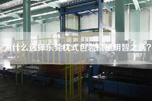 为什么选择东莞枕式包装机是明智之选？