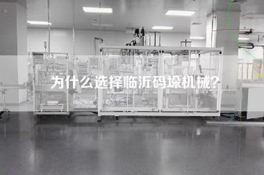 为什么选择临沂码垛机械？
