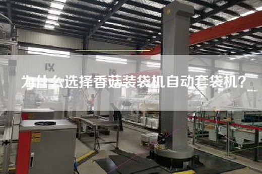 为什么选择香菇装袋机自动套袋机？