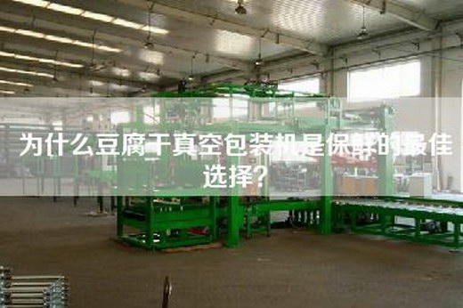为什么豆腐干真空包装机是保鲜的最佳选择？