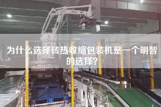 为什么选择砖热收缩包装机是一个明智的选择？