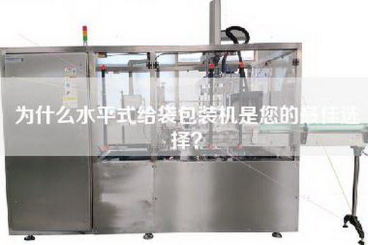 为什么水平式给袋包装机是您的最佳选择？