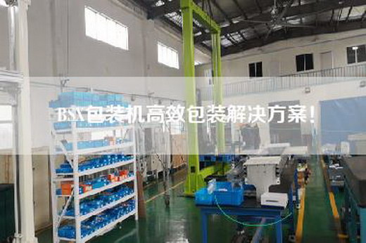 BSX包装机高效包装解决方案！