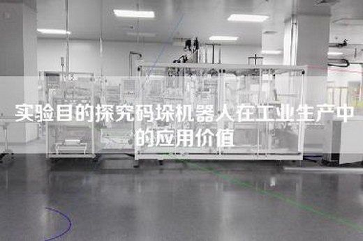 实验目的探究码垛机器人在工业生产中的应用价值