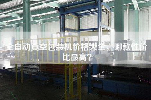 全自动真空包装机价格大全，哪款性价比最高？