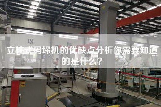 立柱式码垛机的优缺点分析你需要知道的是什么？