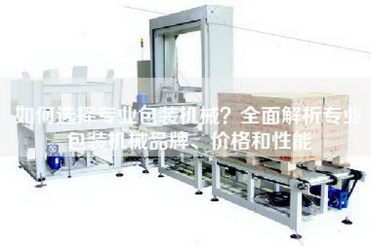 如何选择专业包装机械？全面解析专业包装机械品牌、价格和性能