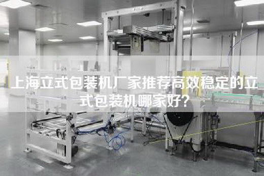 上海立式包装机厂家推荐高效稳定的立式包装机哪家好?