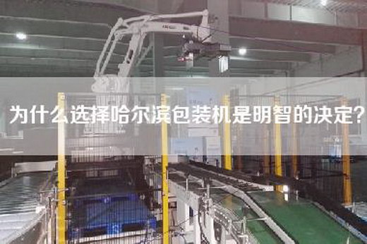 为什么选择哈尔滨包装机是明智的决定?