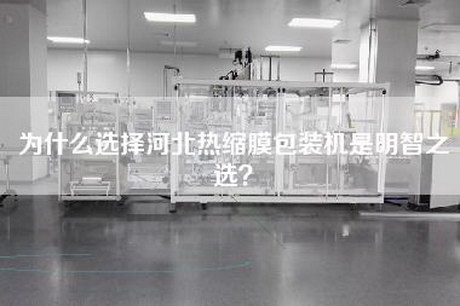 为什么选择河北热缩膜包装机是明智之选?