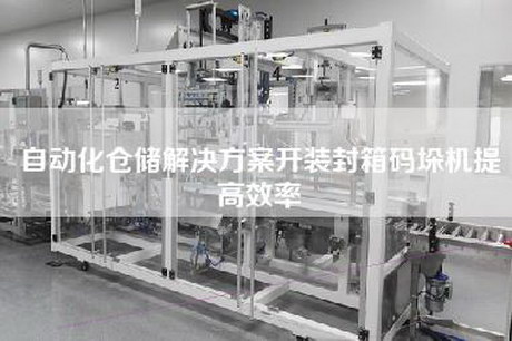 自动化仓储解决方案开装封箱码垛机提高效率