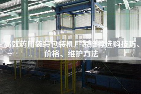 高效药用袋装包装机厂家推荐选购技巧、价格、维护方法