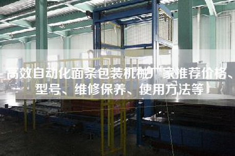 高效自动化面条包装机械厂家推荐价格、型号、维修保养、使用方法等