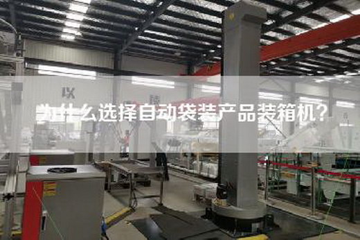 为什么选择自动袋装产品装箱机？