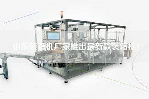 山东装箱机厂家推出最新款装箱机！