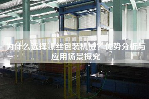 为什么选择螺丝包装机械？优势分析与应用场景探究