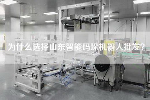 为什么选择山东智能码垛机器人批发？