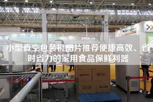 小型真空包装机图片推荐便捷高效、省时省力的家用食品保鲜利器