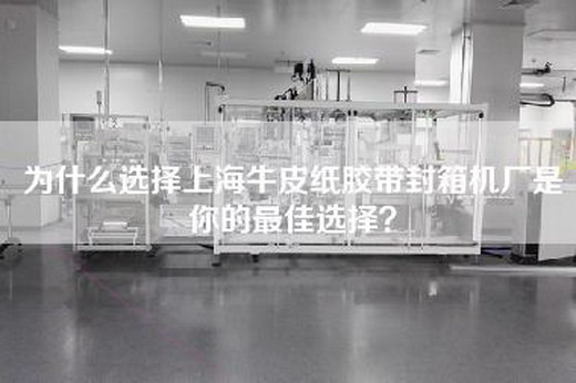 为什么选择上海牛皮纸胶带封箱机厂是你的最佳选择？