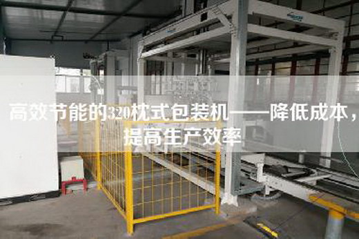 高效节能的320枕式包装机——降低成本，提高生产效率