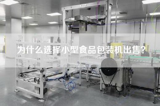为什么选择小型食品包装机出售？