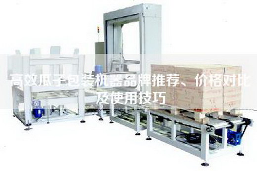 高效瓜子包装机器品牌推荐、价格对比及使用技巧