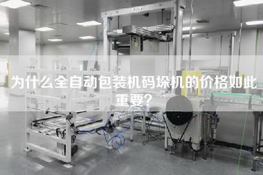 为什么全自动包装机码垛机的价格如此重要？