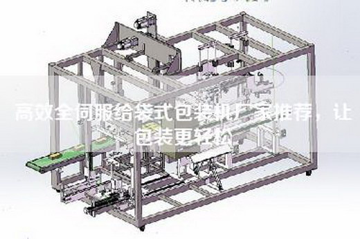 高效全伺服给袋式包装机厂家推荐，让包装更轻松