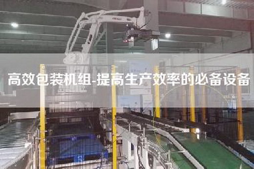 高效包装机组-提高生产效率的必备设备