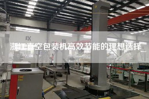 浙江真空包装机高效节能的理想选择