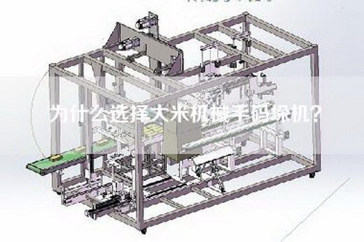 为什么选择大米机械手码垛机？