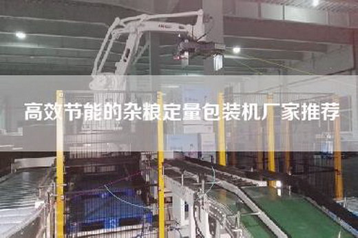 高效节能的杂粮定量包装机厂家推荐