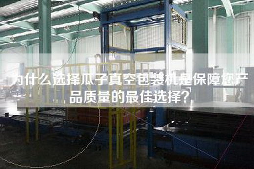 为什么选择瓜子真空包装机是保障您产品质量的最佳选择？