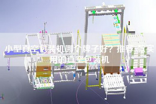小型真空包装机哪个牌子好？推荐5款实用的真空包装机