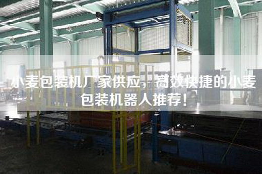 小麦包装机厂家供应,高效快捷的小麦包装机器人推荐! 小麦包装机厂家供应,高效快捷的小麦包装机器人推荐!