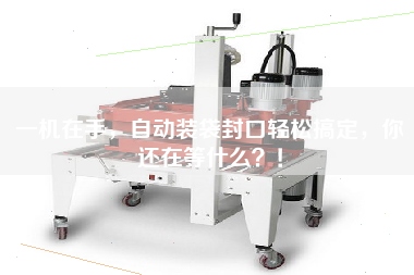 One machine in hand, automatic bagging and sealing can be easily done, what are you waiting for?
