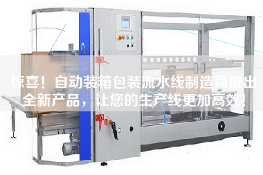 Surprise! Automatic packing assembly line manufacturers launch new products to make your production line more efficient!