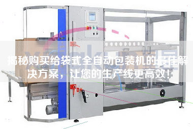 Reveal the best solution to buy for bag automatic packaging machine to make your production line more efficient!