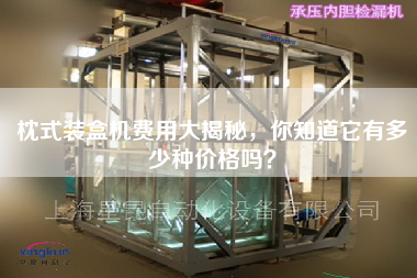 The cost of pillow cartoning machine is revealed. Do you know how many prices it has?