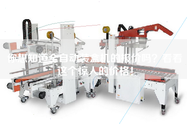 Do you want to know the quotation for automatic cartoning machine? look at this amazing price!