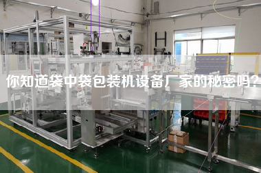 Do you know the secret of the manufacturer of bag-in-bag packaging machine?