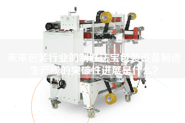 What is the breakthrough of the packaging equipment manufacturing production line in the future?
