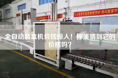 The price of automatic cartoning machine is amazing! Can you guess its price?